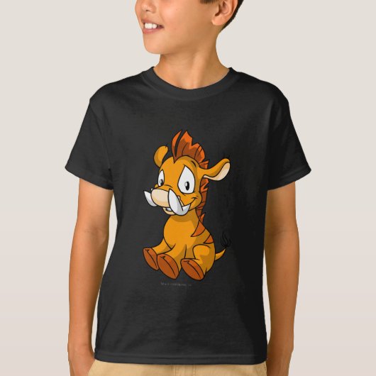 T-shirt Orange de Moehog (Devant)