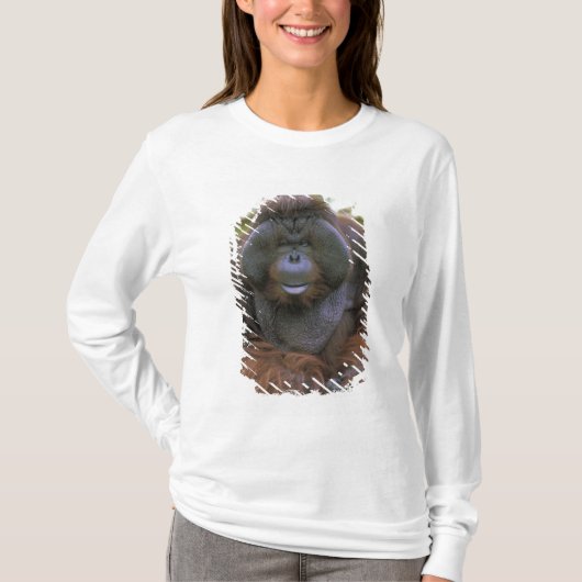 T-shirt Orangoutan Pongo Pygmaeus (Devant)
