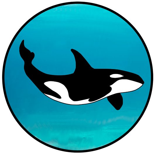 T-shirt Orca