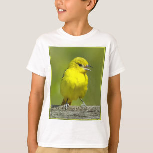 T-shirt Orchard Oriole - Photo originale