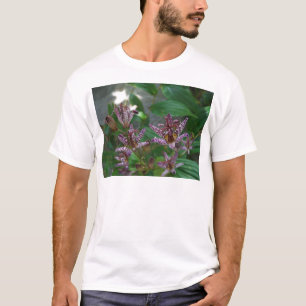 T-shirt Orchidée blanche rayée violette rose comme lys de 