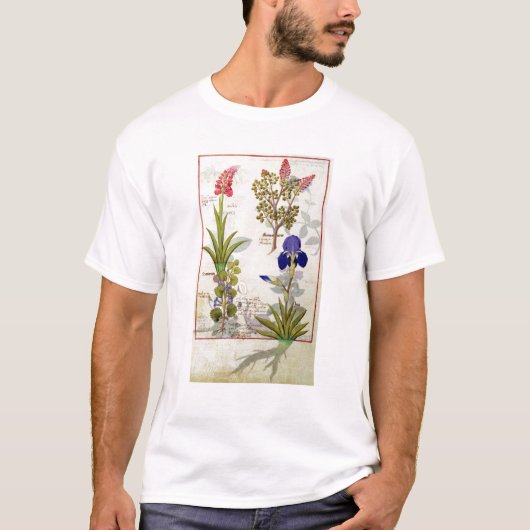 T-shirt Orchidée et Fumitory ou Hedera et iris de (Devant)