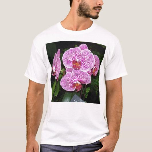T-shirt Orchidée violette et blanche (Devant)