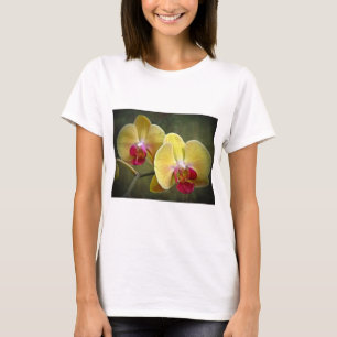 T-shirt Orchidées de teigne jaune - Phalaenopsis