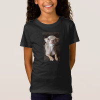 Oscar le T-shirt/sweatshirt bleus de chiwawa