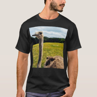 T-shirt Ostrich Long