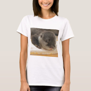 T-shirt Otter endormi