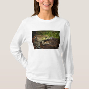 T-shirt Ouaouaron, Rana catesbeiana