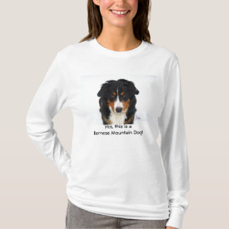 T-shirt Oui, c'est un chien de montagne de Bernese !