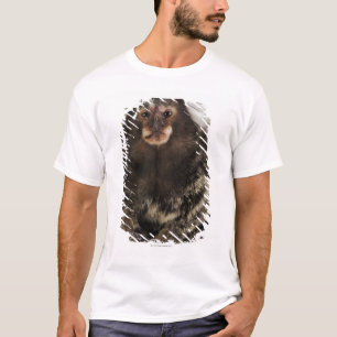 T-shirt Ouistiti à oreilles blanc sur la branche, fin,