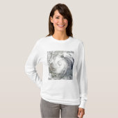 T-shirt Ouragan Alex au-dessus du golfe du Mexique (Devant entier)