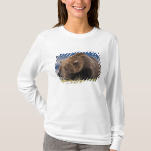 T-shirt Ours brun, grizzly, faisant une sieste, Katmai