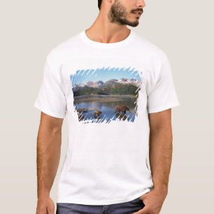 T-shirt Ours brun, grizzly, truie et oursons dans