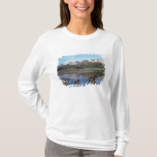 T-shirt Ours brun, grizzly, truie et oursons dans