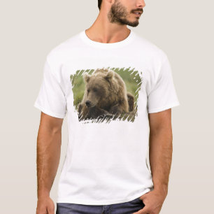 T-shirt Ours brun, ou Ours grizzly côtier, Ursus
