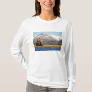 T-shirt ours brun, Ursus arctos, grizzly, Ursus