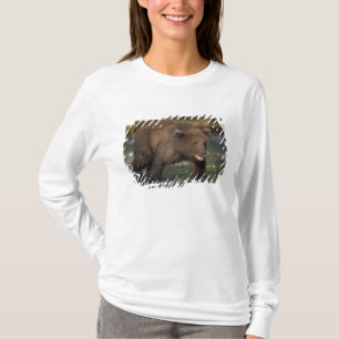 T-shirt ours brun, Ursus arctos, grizzly, Ursus 6
