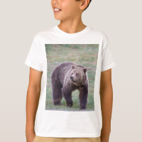 Ours gris