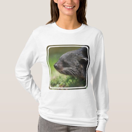 T-shirt Ours Hoody de Binturong (Devant)