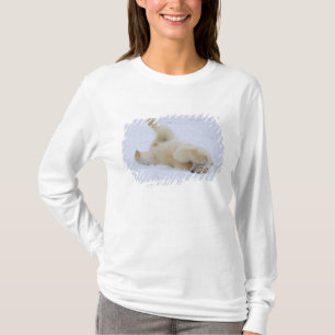 T-shirt ours polaire, Ursus maritimus, ourson roulant