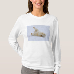 T-shirt ours polaire, Ursus maritimus, ourson roulant