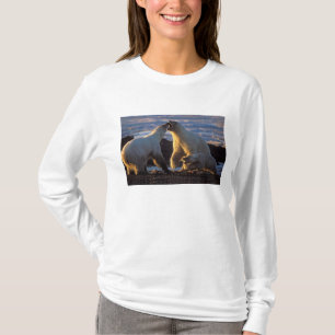 T-shirt Ours polaires femelles avec ourson sur le côté, 10