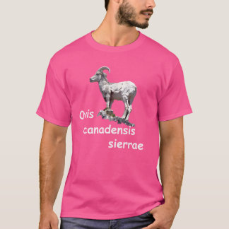 T-shirt Ovis Canadensis Sierrae Sierra Nevada Bighorn Shee