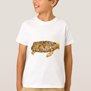 T-shirt P est pour Pancake Tortoise