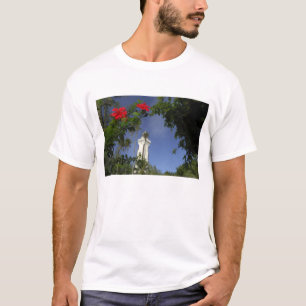 T-shirt Pacifique Sud, Polynésie française, Tahiti. Hibisc