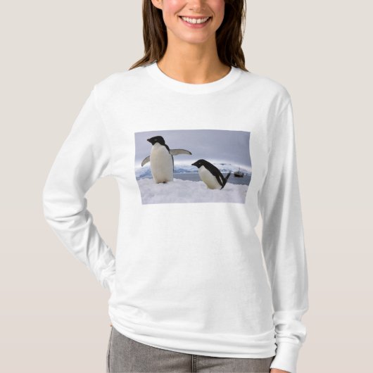 T-shirt Pair Adelie pingouins Antarctique (Devant)