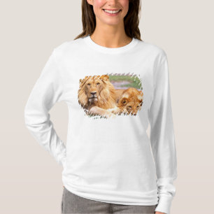 T-shirt Paire de lions d'Afrique, Panthera leo, Tanzanie