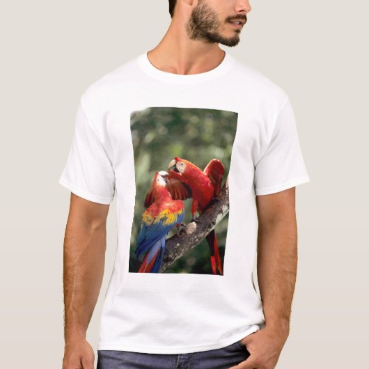 T-shirt Paire de Scarlet Macaws (Devant)
