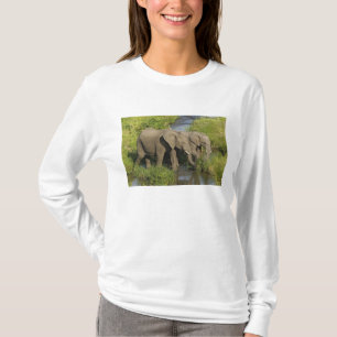 T-shirt Paire d'éléphants d'Afrique Masai Mara