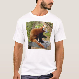 T-shirt Panda-037 rouge