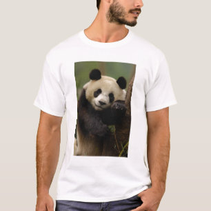 T-shirt Panda géant Ailuropoda melanoleuca) Famille