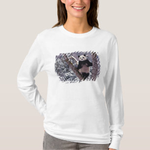 T-shirt Panda géant debout sur un arbre, Wolong, Sichuan,