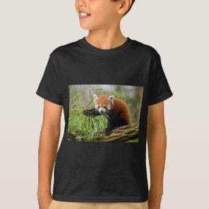 T-shirt Panda Rouge Manger Feuille verte