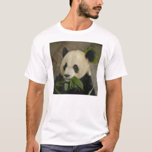 T-shirt PandaM014