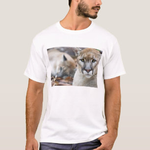 T-shirt Panthère de Floride