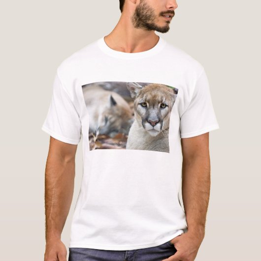T-shirt Panthère de Floride (Devant)