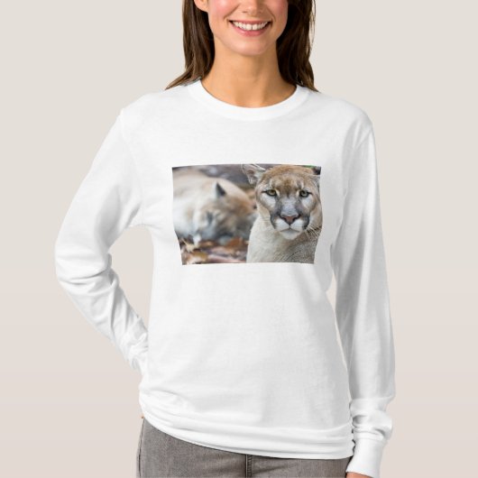 T-shirt Panthère de Floride (Devant)