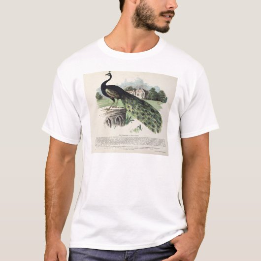 T-shirt Paon (Devant)