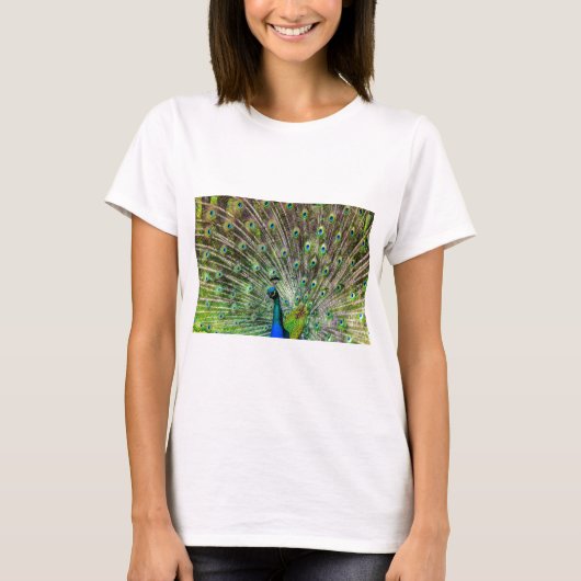 T-shirt Paon (Devant)