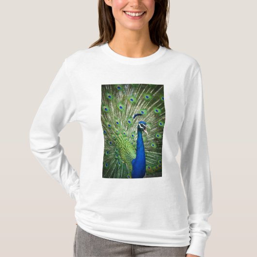 T-shirt Paon criard (Devant)