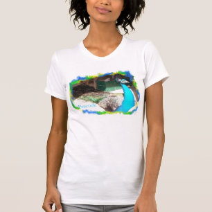 T-shirt Paon mâle prenant un bain de soleil