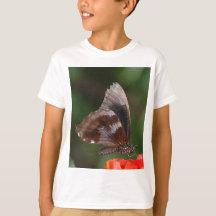 Papillon blanc et marron sur fleur rouge