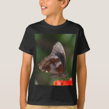 Papillon blanc et marron sur fleur rouge