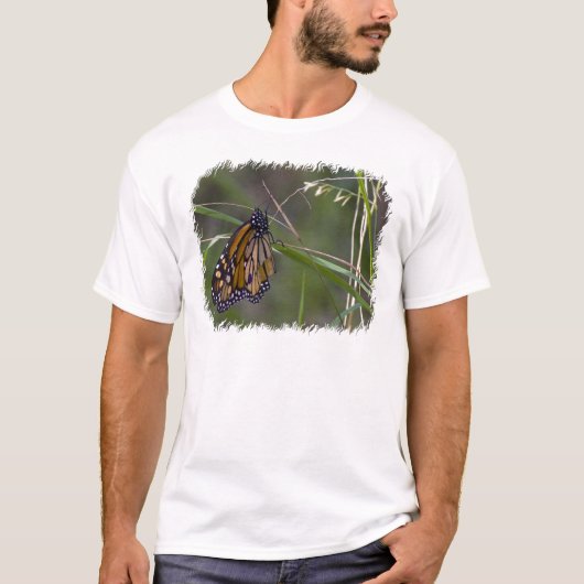 T-shirt Papillon monarque dans l'herbe (Devant)