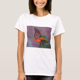 T-shirt Papillon Monarque sur tournesol mexicain (Tithonia