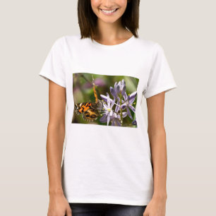 T-shirt Papillon orange sur les vêtements et les cadeaux d